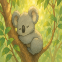 Cuddly Koala Canopy