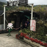 苗榜海芋園