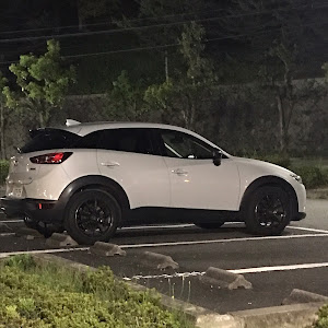 CX-3 DK5AW