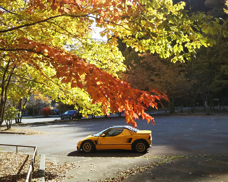 AZ-1の奥多摩湖・奥多摩ＡＺ-1・紅葉🍁・紅葉と愛車に関するカスタム事例の投稿画像6枚目