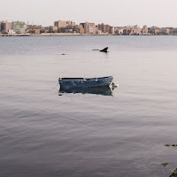 Il mare di Trapani, di 