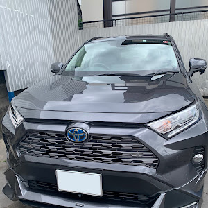 RAV4 AXAH54