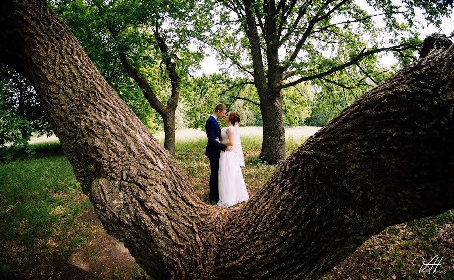 Fotógrafo de bodas Vadim Gricenko (hrytsenko). Foto del 19 de junio 2018