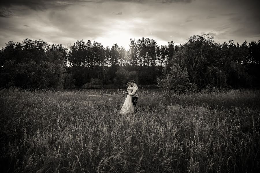 Wedding photographer Dávid Moór (moordavid). Photo of 16 September 2019