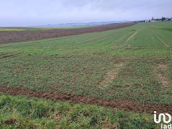 terrain à Etigny (89)