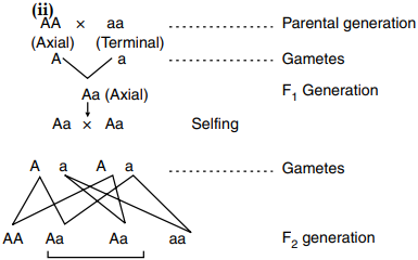 Solution Image