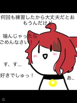 みーちゃんの質問に答えたよ