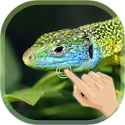 Magic Ripple Lizard LWP  Icon