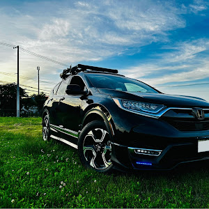 CR-V RT6