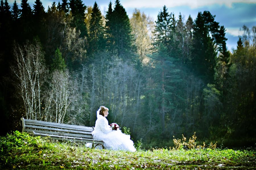 Wedding photographer Dmitriy Andreev (da-ru). Photo of 1 November 2012