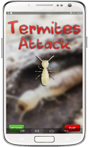 Termites Attack