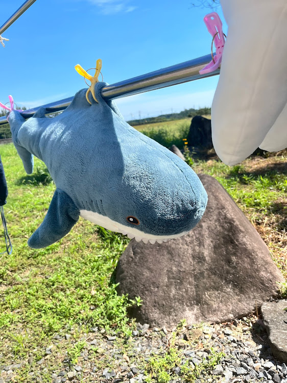 マークXの広域走航隊アルカディア・ヒグラシの鳴き声に癒される・スタバ新作・夜空と愛車・無人スイーツに関するカスタム事例の投稿画像23枚目