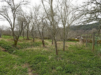 maison à Saint-Bonnet-le-Château (42)