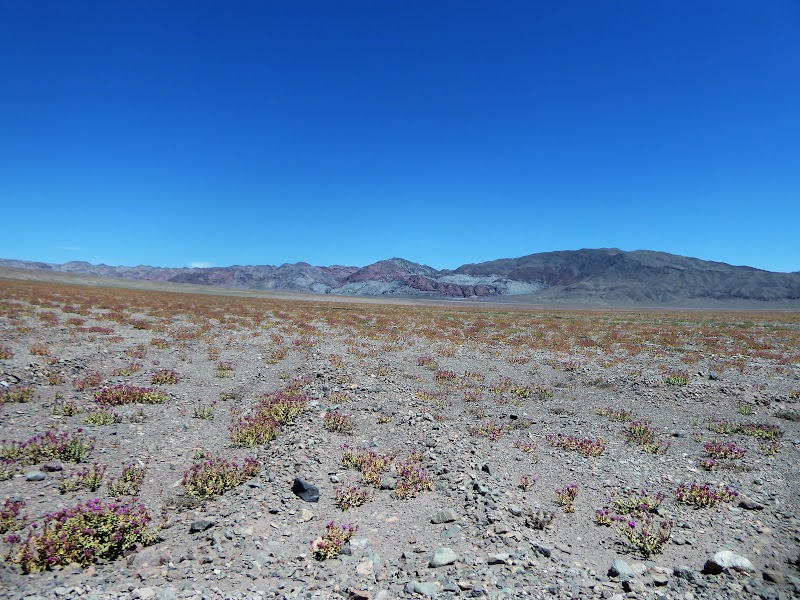 CHILE: Atacama ( con extensión a Uyuni) y Carretera Austral - Blogs de Chile - LAGUNAS ESCONDIDAS DE BALTINACHE. VALLE DE LA MUERTE. VALLE DE LA LUNA. ATACAMA (13)