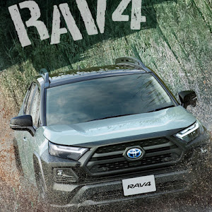 RAV4 AXAH54