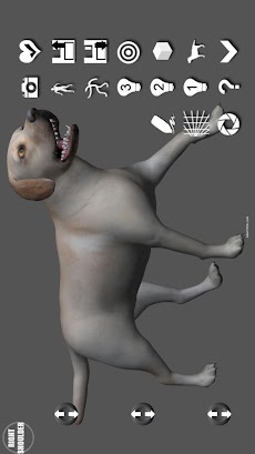 Labrador Pose Tool 3Dのおすすめ画像1