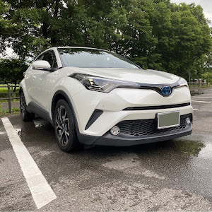 C-HR ZYX10