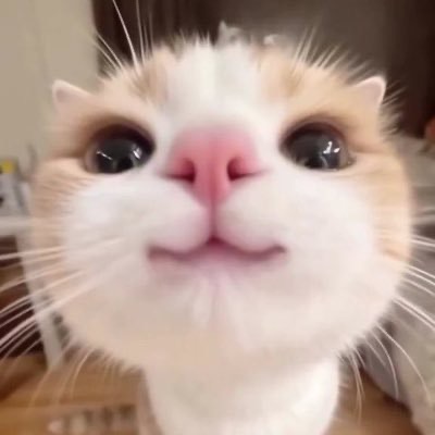 のて