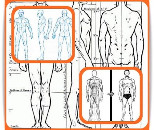 Android application Learn to Draw Human Body screenshort