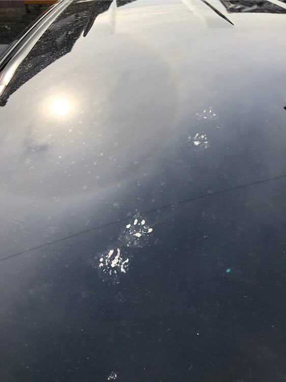 ヴァンガードの凍る・来客・ねこちゃん・洗車したいに関するカスタム事例の投稿画像5枚目