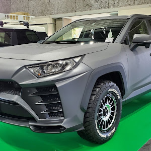 RAV4 AXAH54