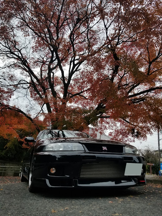 スカイライン GT-Rの紅葉と愛車・bcnr33・GT-Rに関するカスタム事例の投稿画像1枚目