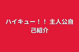 ハイキュー！！ 主人公自己紹介