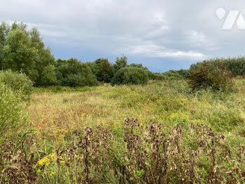 terrain à Cayeux-sur-Mer (80)