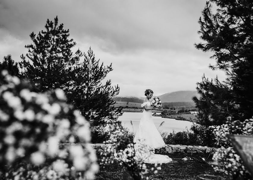 Fotografo di matrimoni Paloma Mejia (mejia). Foto del 29 agosto 2018