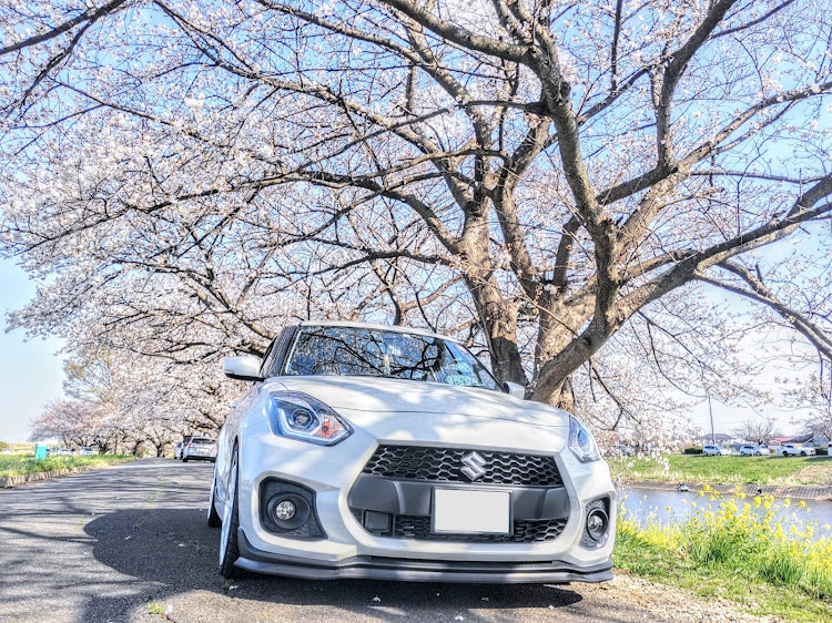 スイフトスポーツの春🌸の到来・桜🌸・びん沼橋近辺・アヒル隊長🫡・ローガンに関するカスタム事例の投稿画像1枚目