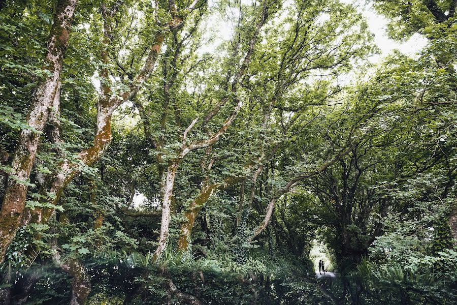 Fotograful de nuntă Slava Semenov (ctapocta). Fotografia din 17 august 2016