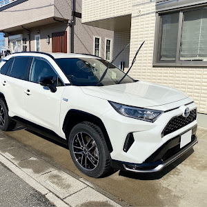 RAV4 AXAP54