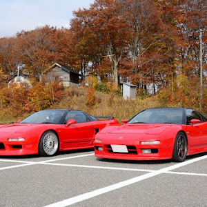 NSX NA1