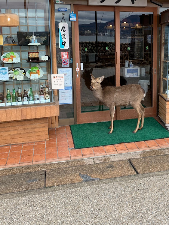 の投稿画像10枚目