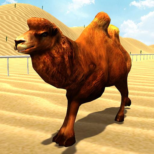 Sauvage Camel Racing Simulator icon