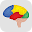 Brain Challenge - Game Trainer Download on Windows