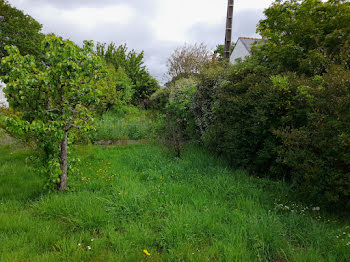 terrain à Sarzeau (56)