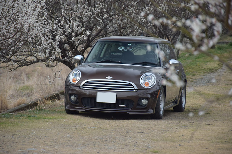 ミニのR56　MINI　ONE・鉄チン仕様・梅コラボ終了に関するカスタム事例の投稿画像3枚目