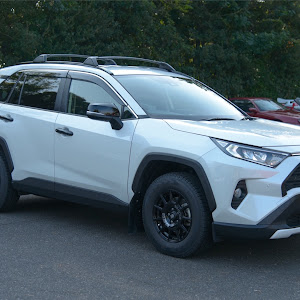 RAV4 MXAA54