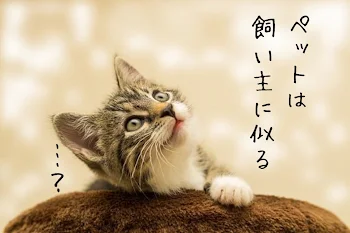 ペットは飼い主に似る