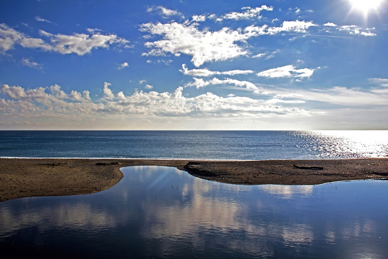  Dove arriva il fiume. di Naldina Fornasari