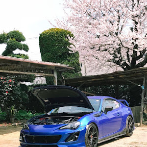 BRZ ZC6