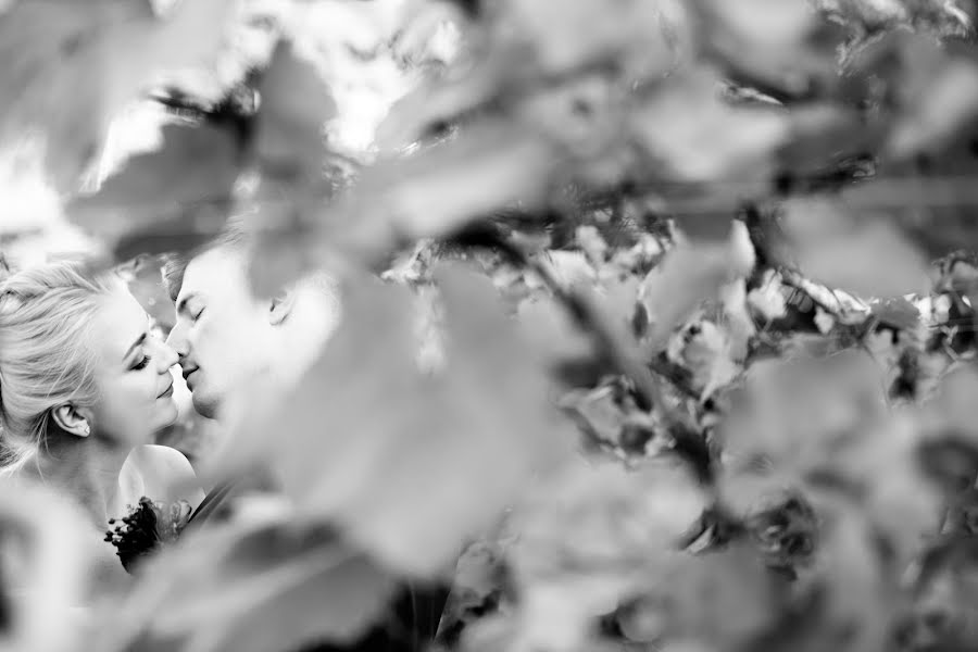 Fotografo di matrimoni Csaba Molnár (molnarstudio). Foto del 20 gennaio 2020