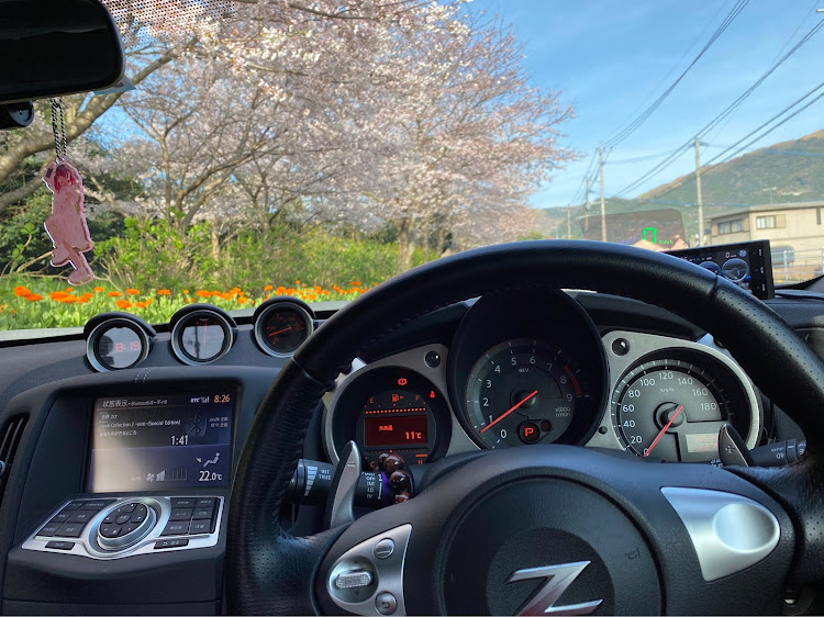 フェアレディZの桜と愛車に関するカスタム事例の投稿画像1枚目