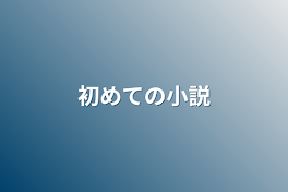 初めての小説