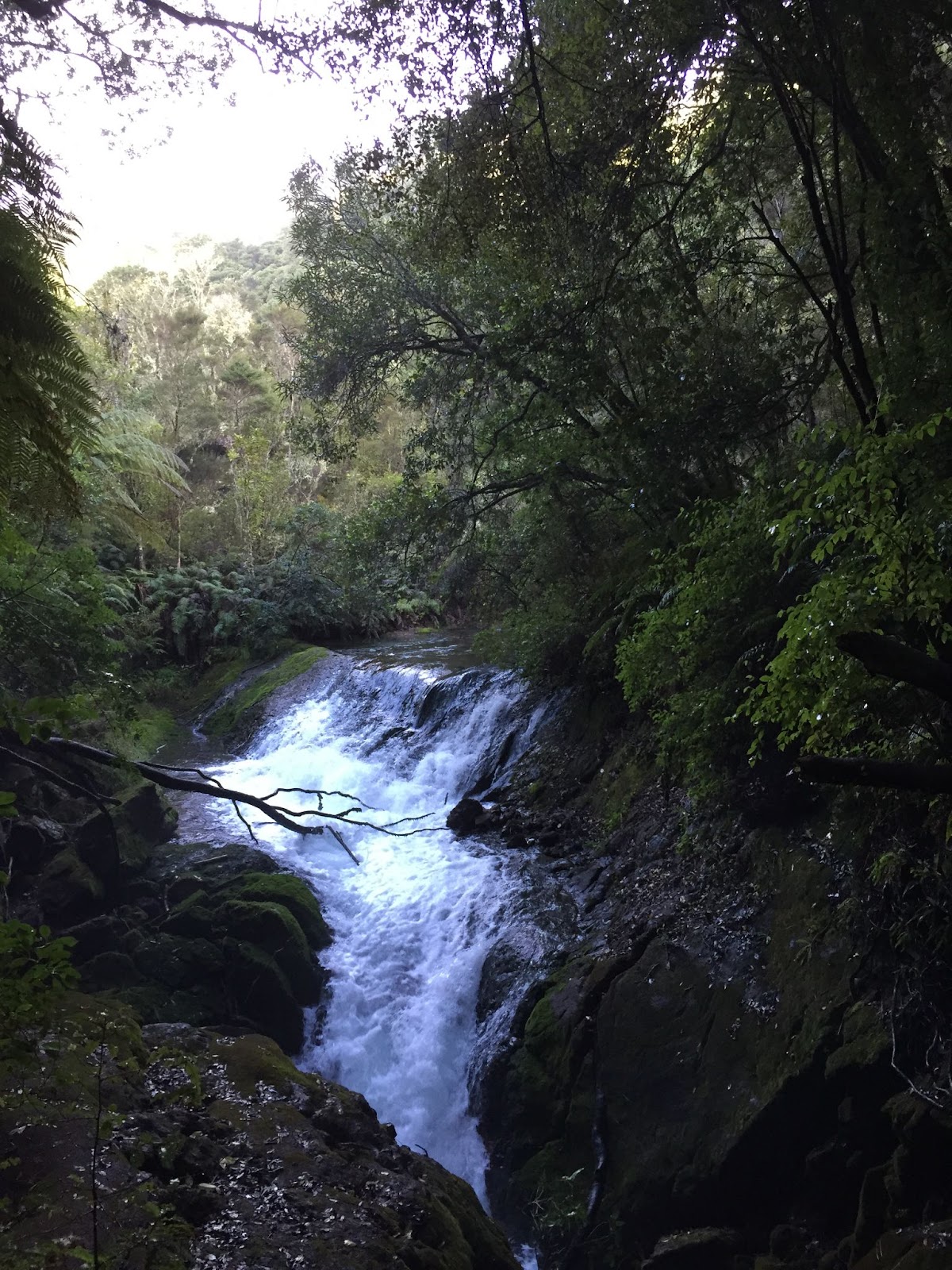 Tarawera River disappearing into underground caves