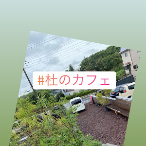 セレナ HFC26