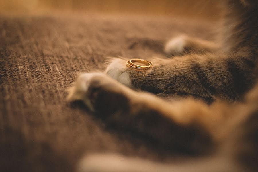 Fotografo di matrimoni Alla Kozlova (alilu92). Foto del 5 giugno 2020