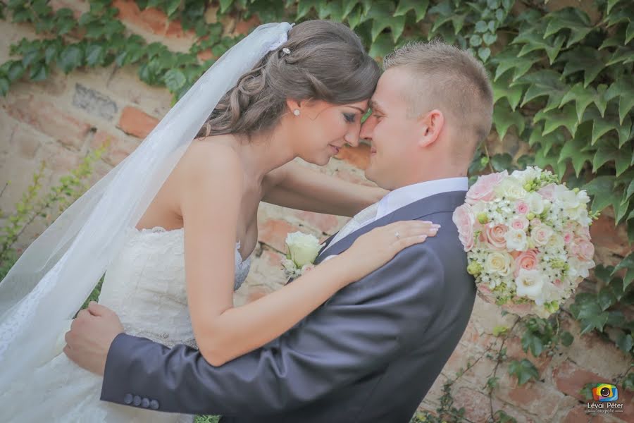 Fotógrafo de casamento Péter Lévai (lpfotovideo). Foto de 24 de fevereiro 2019