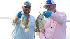 Beat the Heat Crappie thumbnail